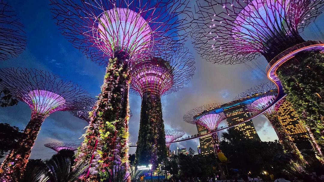 Garden by The Bay - Du lịch Singapore