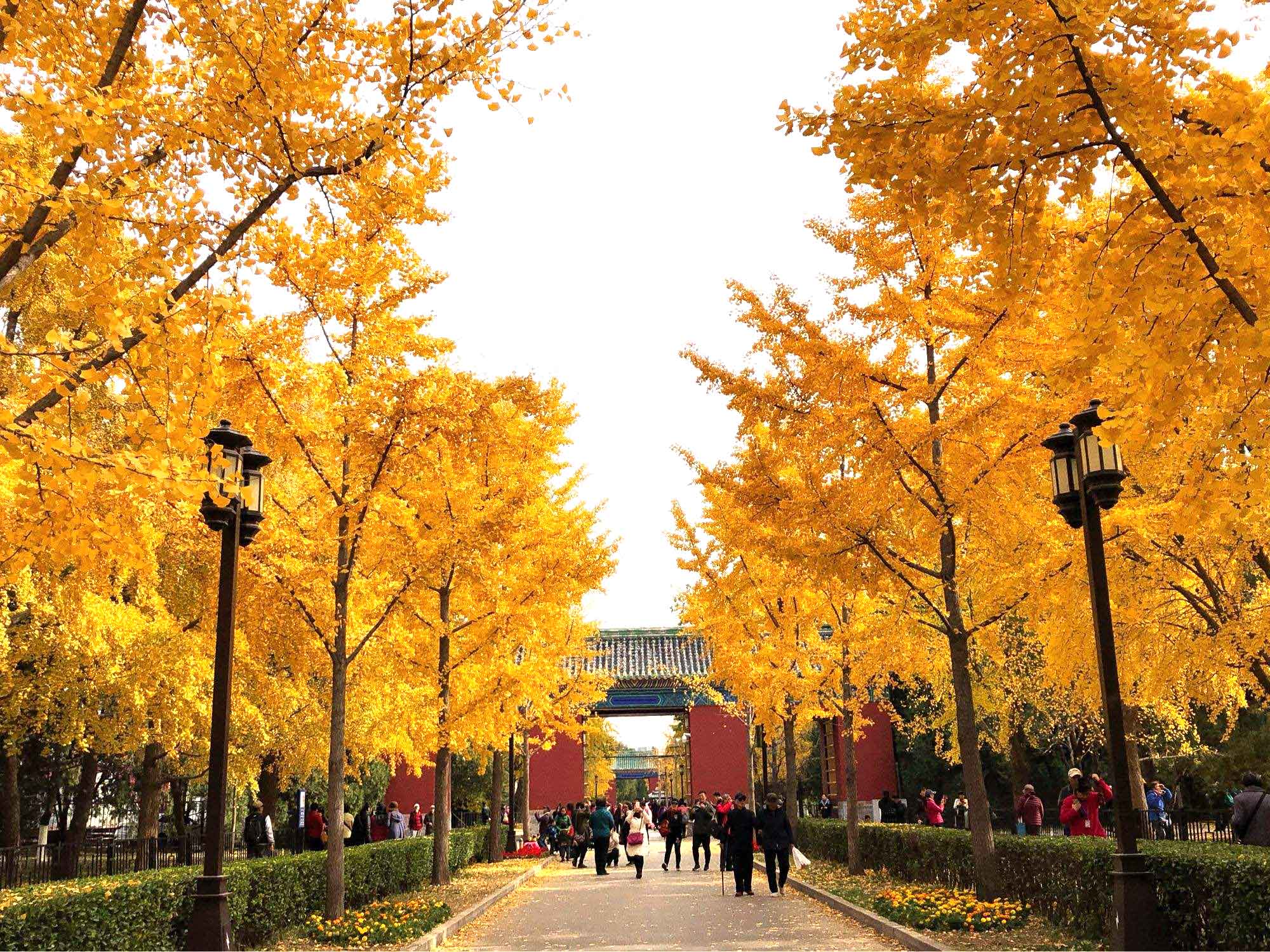 Cảnh đẹp du lịch Bắc Kinh Trung Quốc mùa thu 11