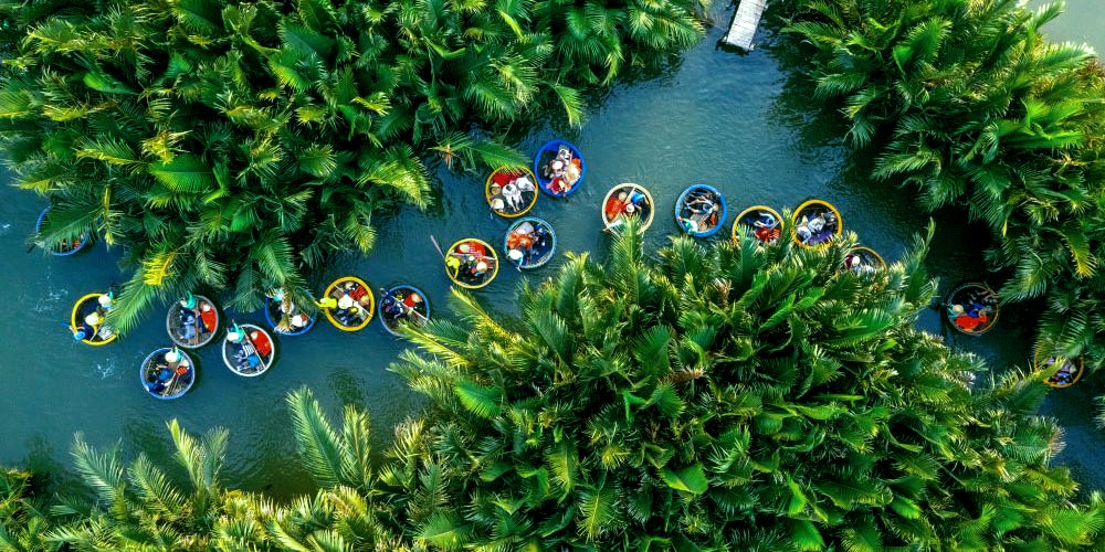 Rừng dừa Bảy Mẫu - Địa điểm du lịch Quảng Nam nổi tiếng